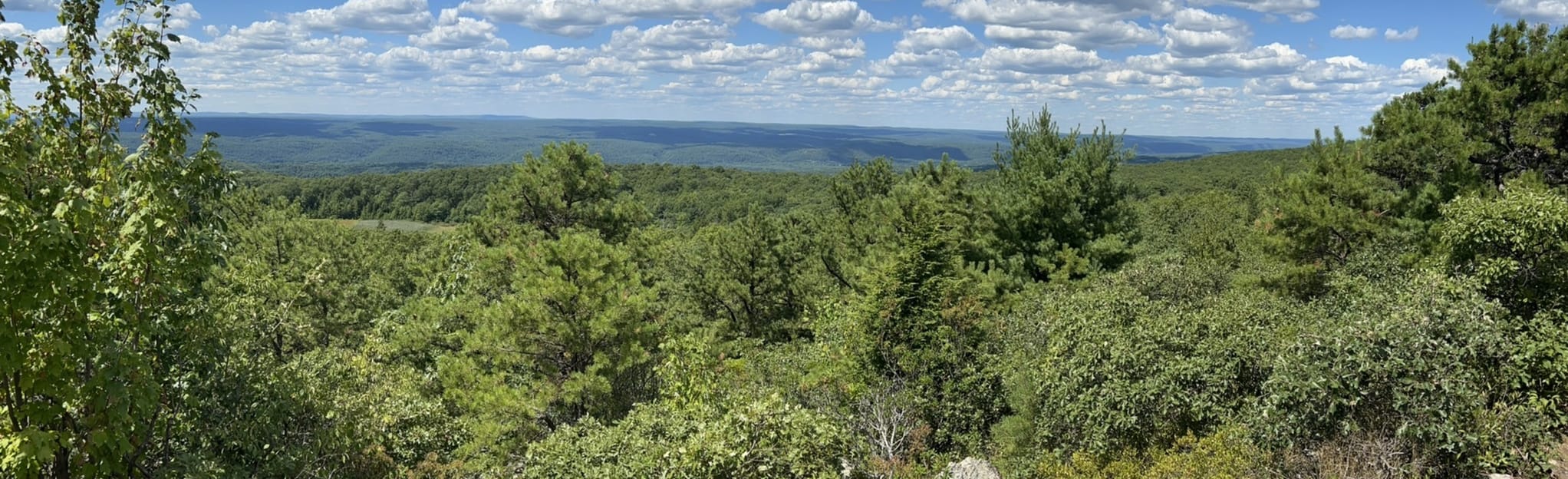 Buttermilk Falls and Rattlesnake Mountain Loop, New Jersey 161 Reviews, Map AllTrails