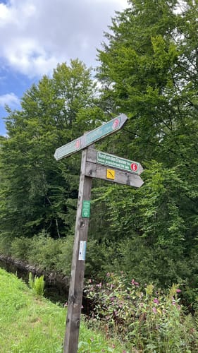 Großer Rundweg Steinklamm bei Spiegelau