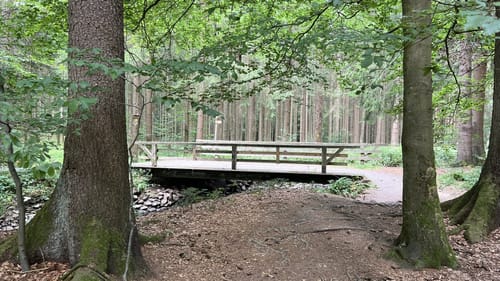 Großer Rundweg Steinklamm bei Spiegelau