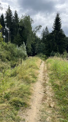 Großer Rundweg Steinklamm bei Spiegelau
