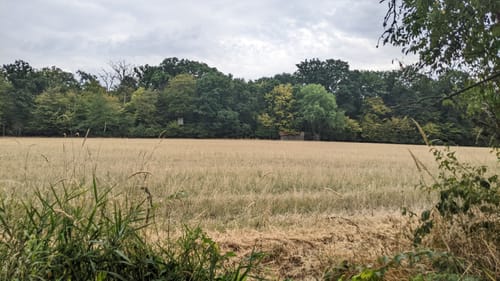 Lahnwanderweg Etappe 8: Fronhausen - Lollar