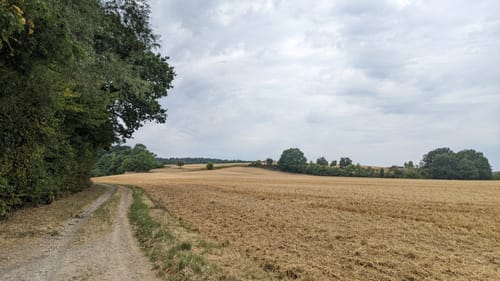 Lahnwanderweg Etappe 8: Fronhausen - Lollar
