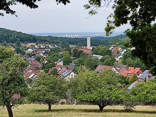 Dörrmorsbach - Pfaffenberg - Hohe-Wart-Haus