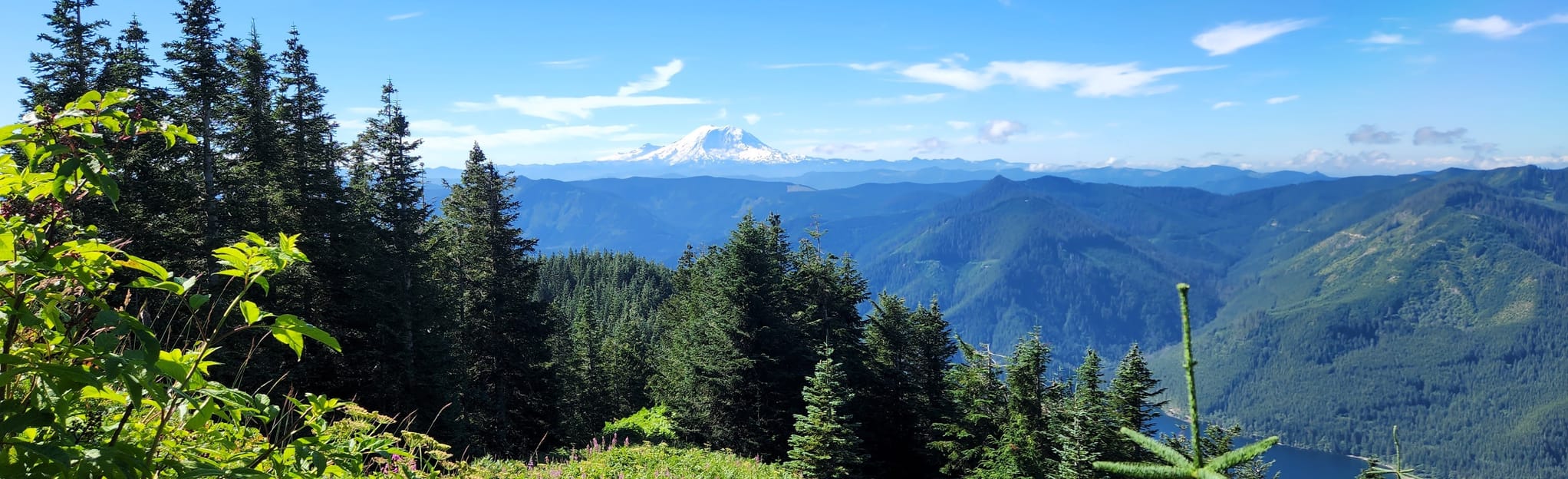 Mount Washington Trail Washington - EyJidWNrZXQiOiJhc3NldHMuYWxsdHJhaWxzLmNvbSIsImtleSI6InVwbG9hZHMvcGhvdG8vaW1hZ2UvNTA4MTA3MDIvYWNiOWFlN2UyYTVmMzVlYTM5YzIyNjZhYWRlMmJiNDUuanBnIiwiZWRpdHMiOnsidG9Gb3JtYXQiOiJqcGVnIiwicmVzaXplIjp7IndpZHRoIjoyMDQ0LCJoZWlnaHQiOjYyNCwiZml0IjoiY292ZXIifSwicm90YXRlIjpudWxsLCJqcGVnIjp7InRyZWxsaXNRdWFudGlzYXRpb24iOnRydWUsIm92ZXJzaG9vdERlcmluZ2luZyI6dHJ1ZSwib3B0aW1pc2VTY2FucyI6dHJ1ZSwicXVhbnRpc2F0aW9uVGFibGUiOjN9fX0=