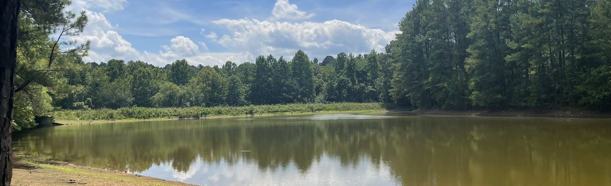 Lakes of Bowie Loop Trail Map, Guide Tennessee AllTrails