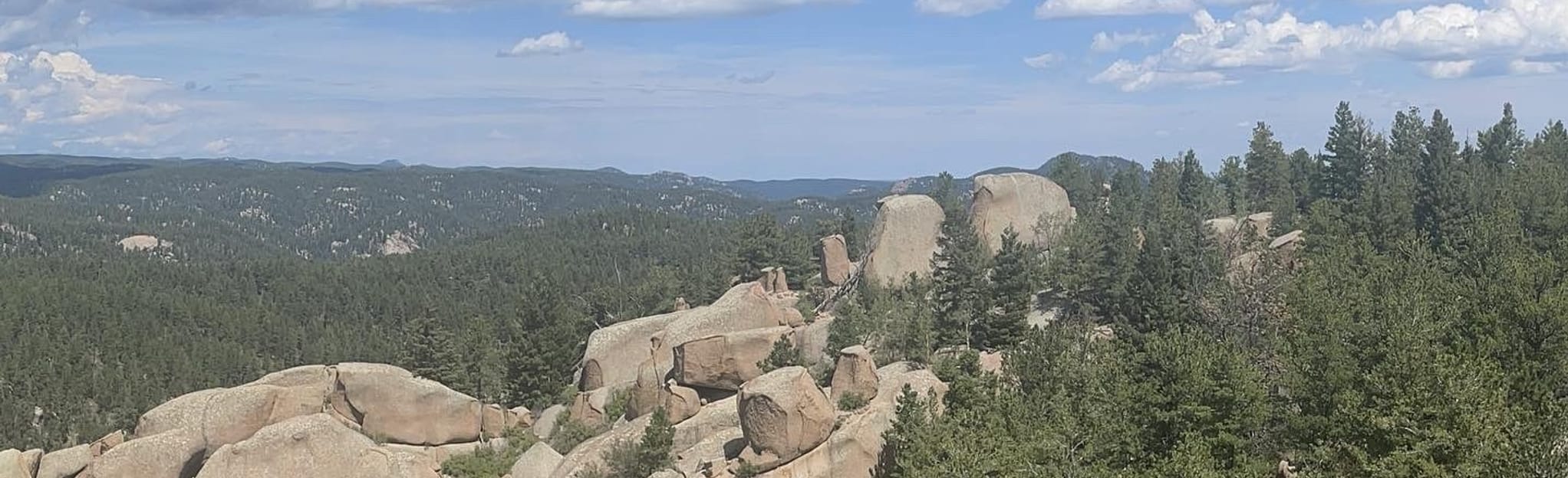 Schubarth OHV Trail - Colorado | AllTrails