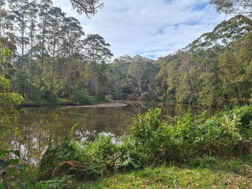 is lane cove national park dog friendly