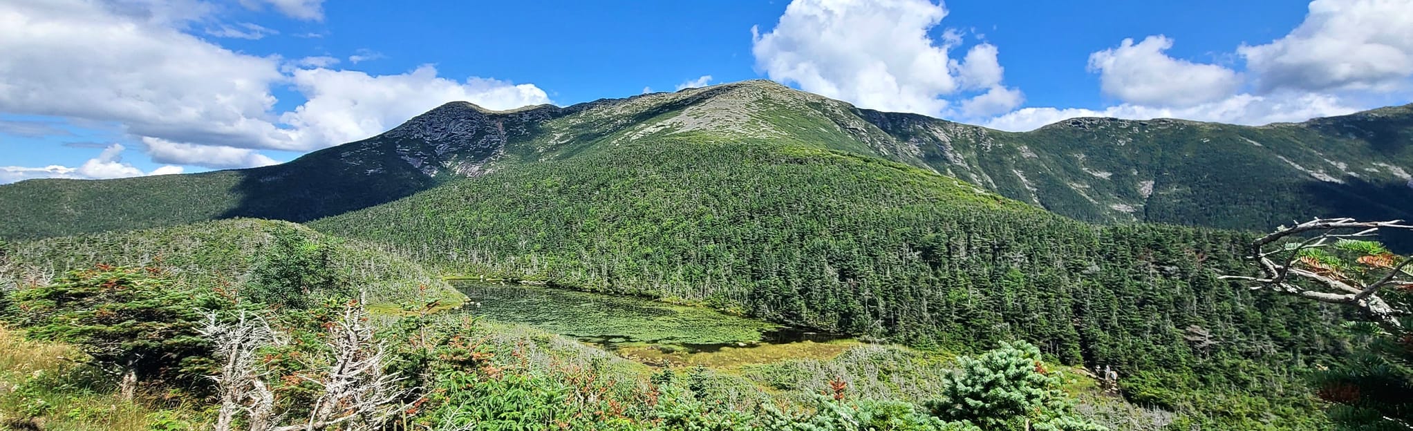 Skookumchuck Trail to Greenleaf Hut 34 Reviews, Map New Hampshire