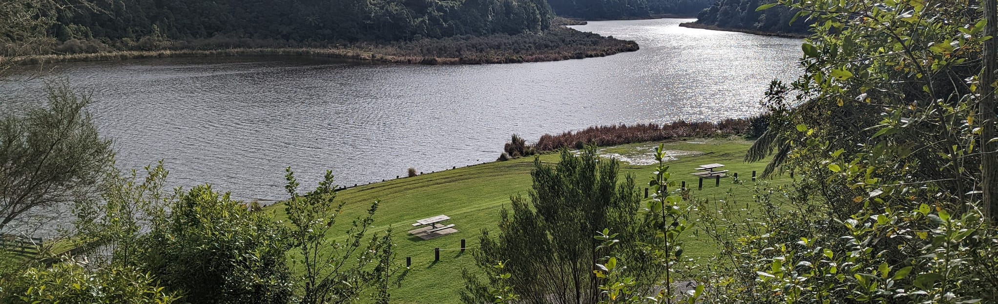 Lake Rotokare Walkway and Ridge Loop, Taranaki, New Zealand 11