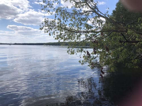 Um den Stienitzsee