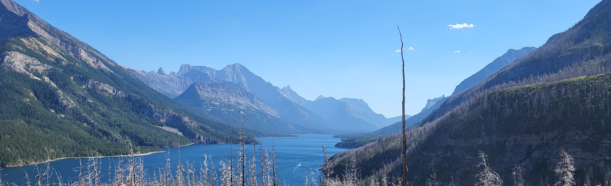 Bertha Bay Campground 839 fotos Alberta, Canadá AllTrails