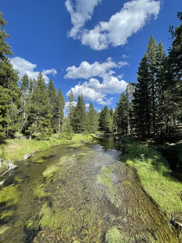 Best yellowstone outlet hikes for families