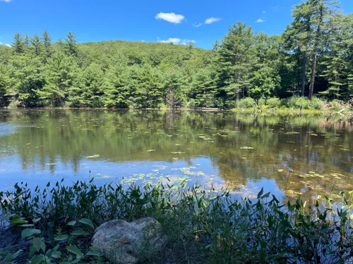 Best Hikes and Trails in Athol | AllTrails