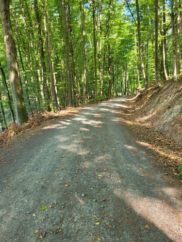 Vom Cappeler Friedhof zur Burgruine Frauenberg