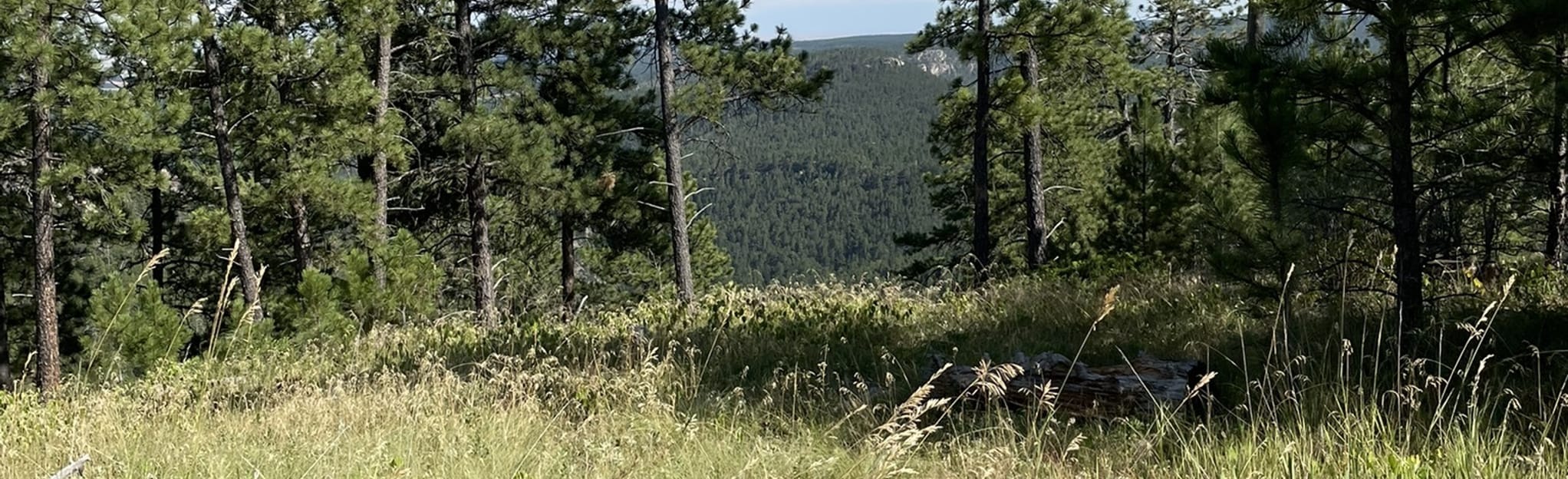 Buzzards Roost 915 Reviews, Map South Dakota AllTrails