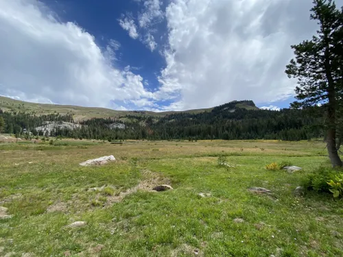 10 Best Trails and Hikes in Soda Springs | AllTrails