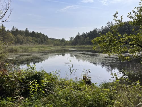 Dragon Trail (Kellinghusen)