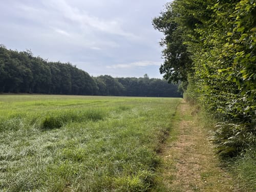 Dragon Trail (Kellinghusen)