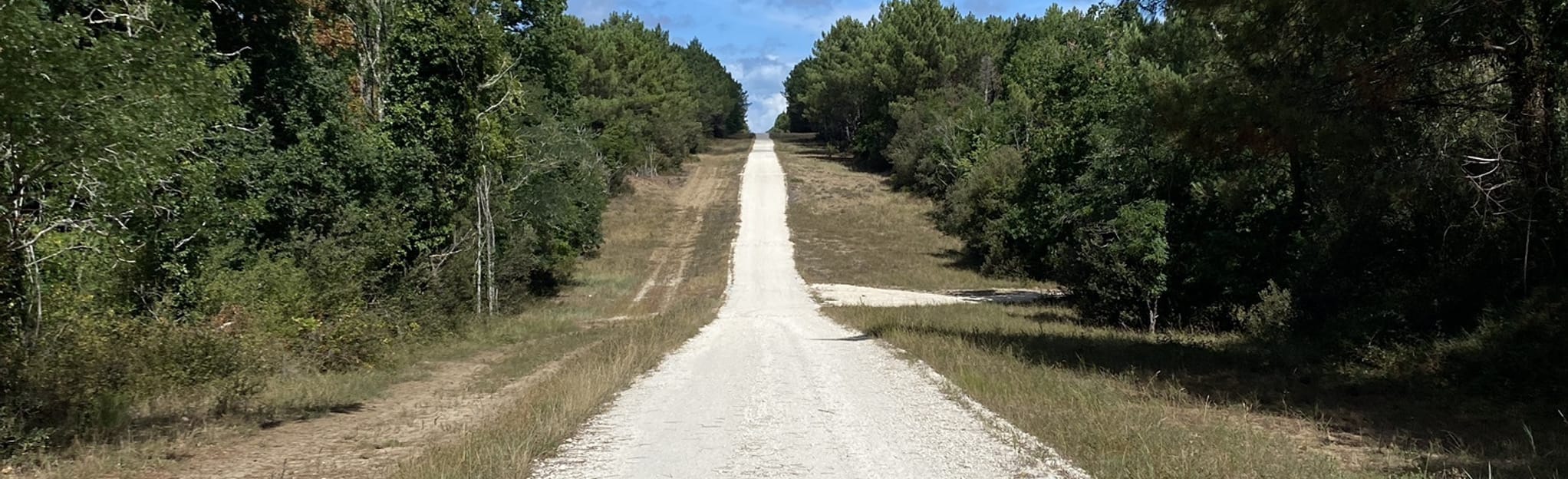 La Tremblade 16 Fotos CharenteMaritime, Frankreich AllTrails