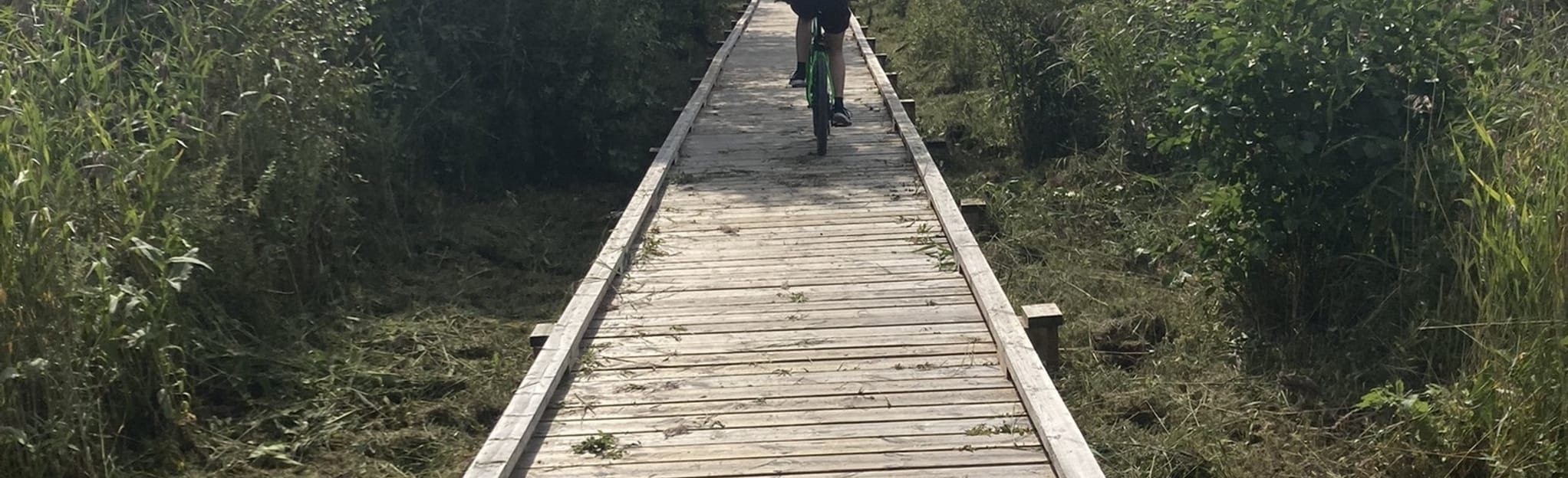 Rocksjön Loop, Jönköping, Sweden - 6 Reviews, Map | AllTrails