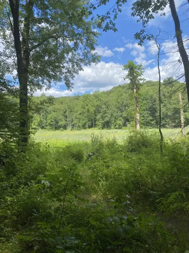 Escape to Serenity: A Guide to Bennett's Pond State Park