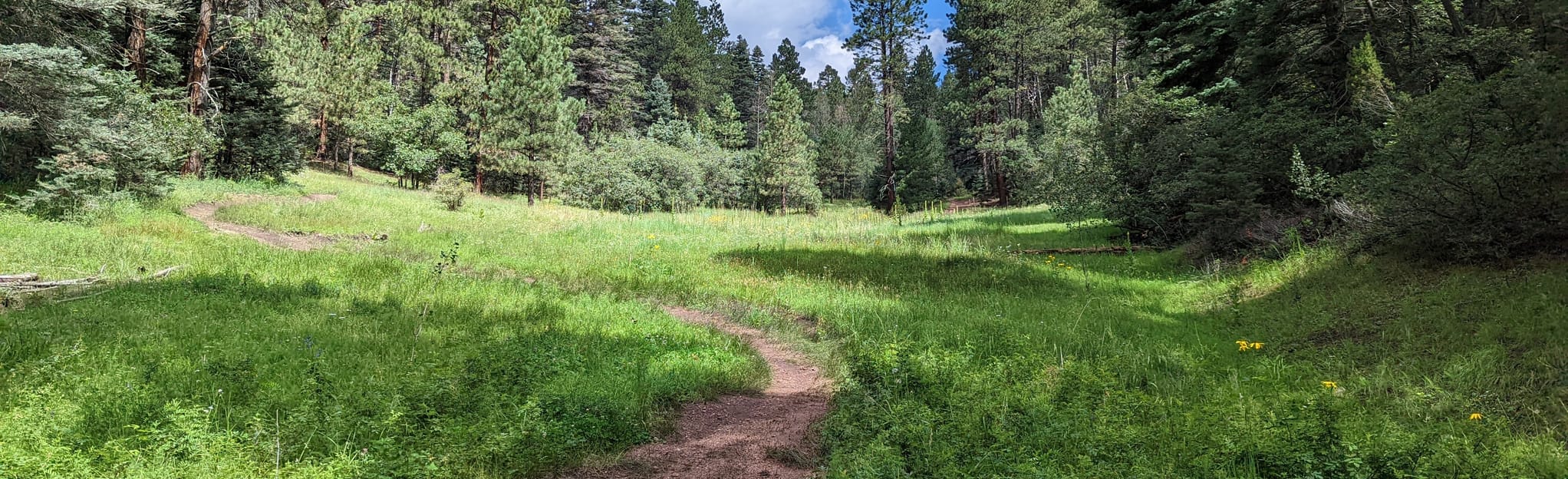 Winsor Trail to Big Tesuque Canyon 855 foto's New Mexico AllTrails