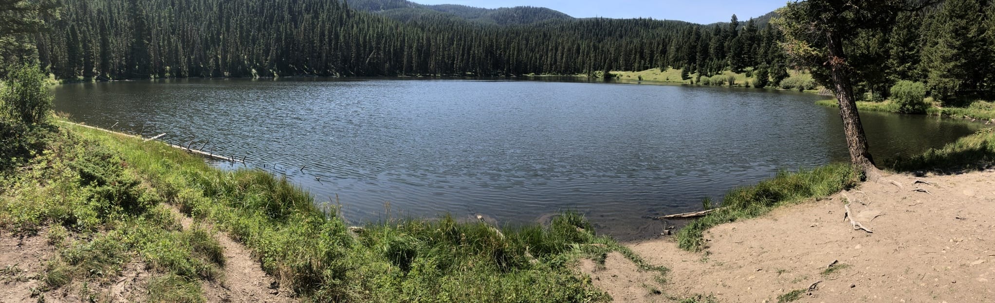 Rat Lake Trail Montana AllTrails