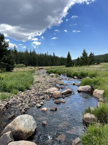 Best hikes in bighorn national clearance forest