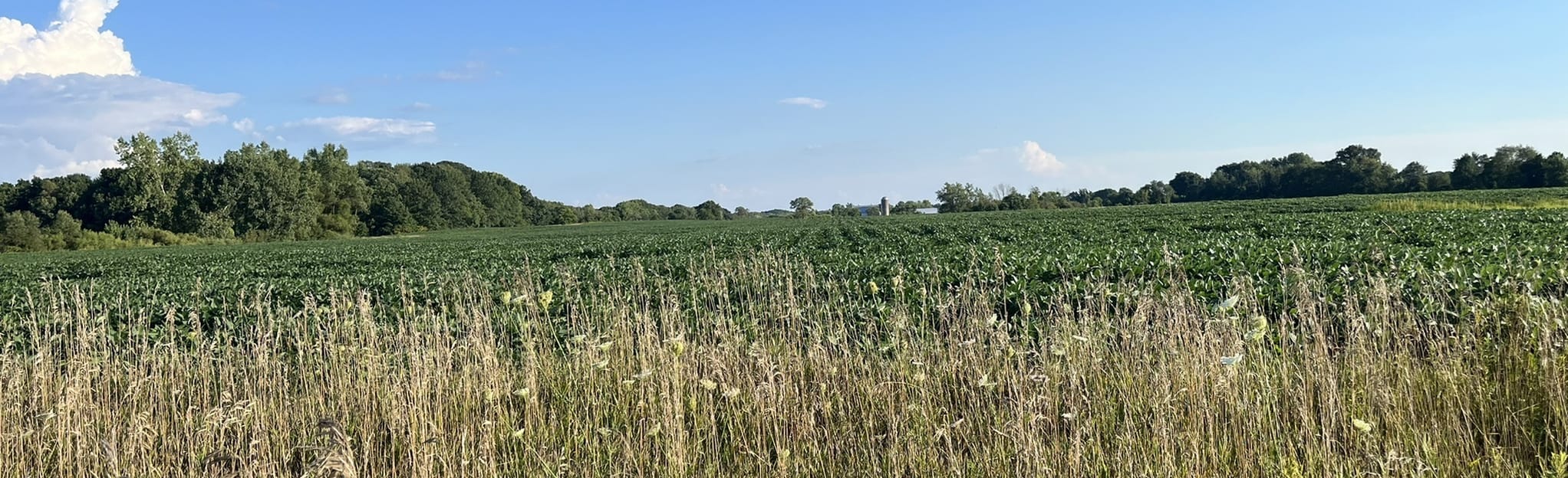 Eastmanville Farm Trails 289 Photos Michigan Randonnée AllTrails