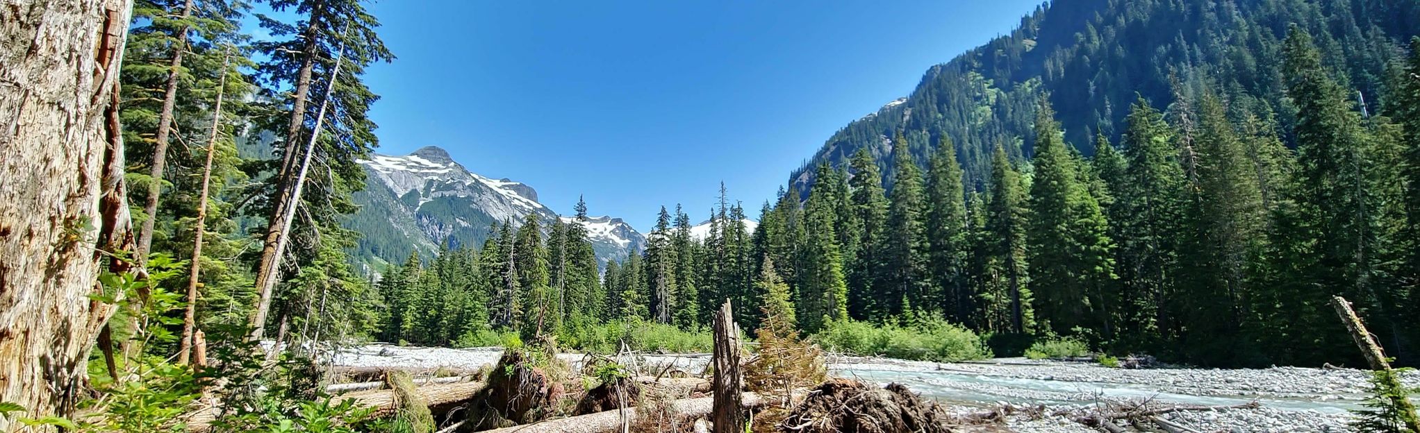 Nooksack Cirque Trail, Washington - 75 Reviews, Map | AllTrails