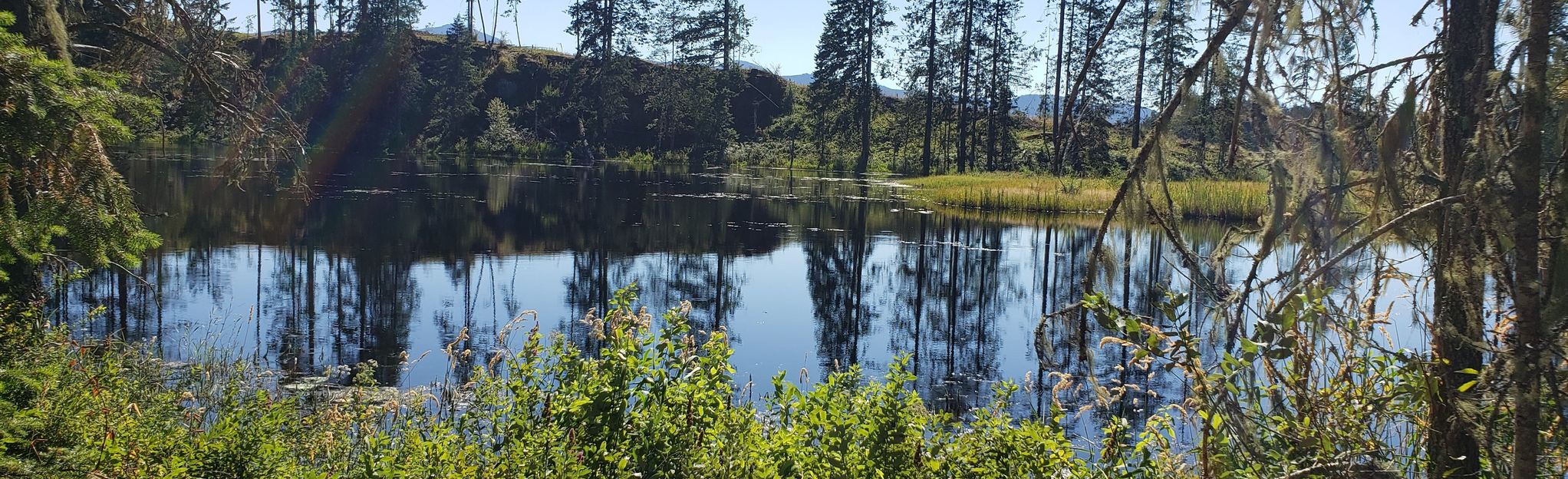 Whisky Lake Loop: 26 Reviews, Map - British Columbia, Canada | AllTrails