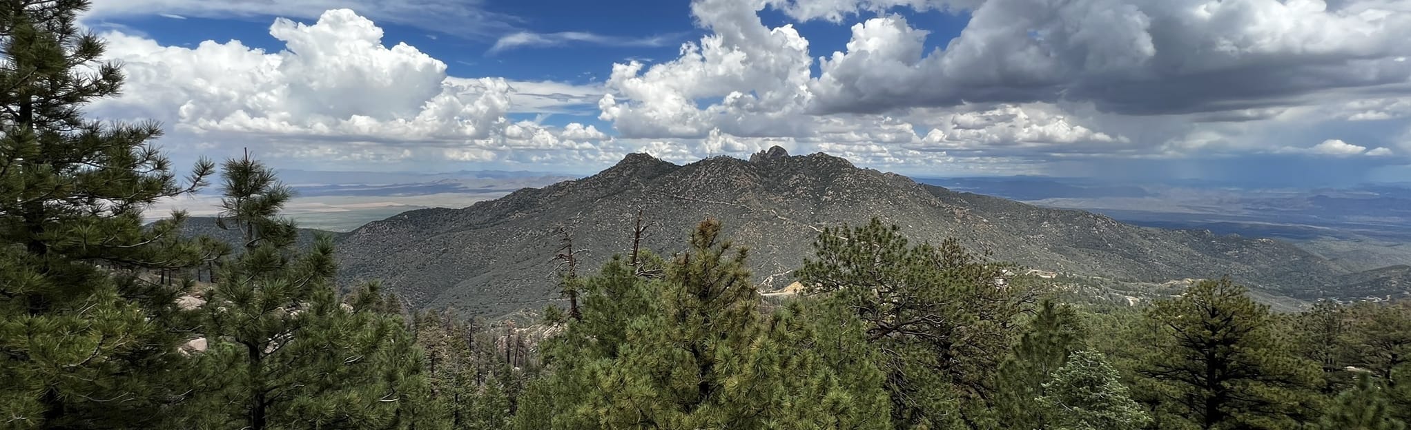 Hayden Peak Summit, Arizona 123 Reviews, Map AllTrails