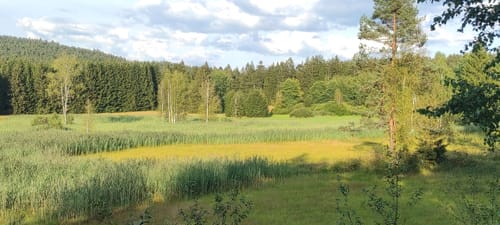 Um Schollenried und Wickersdorf