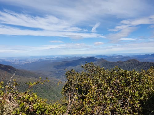 Best 10 Views Trails in Barrington Tops Park AllTrails