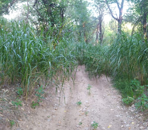 Best Hikes and Trails in McClellan Creek National Grassland AllTrails