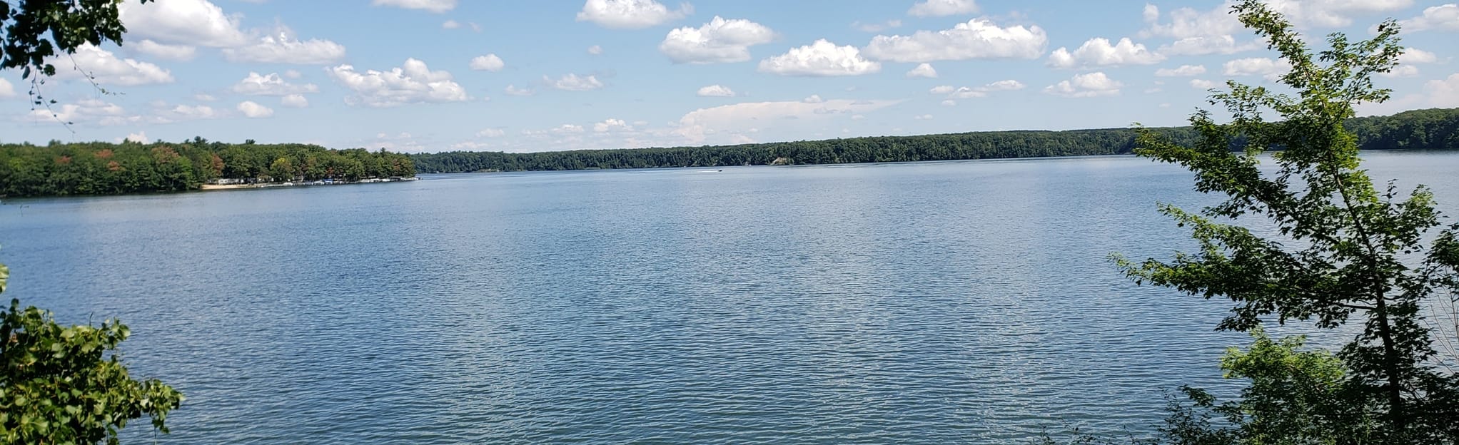 Newaygo Dragon Trail 91 Reviews, Map Michigan AllTrails