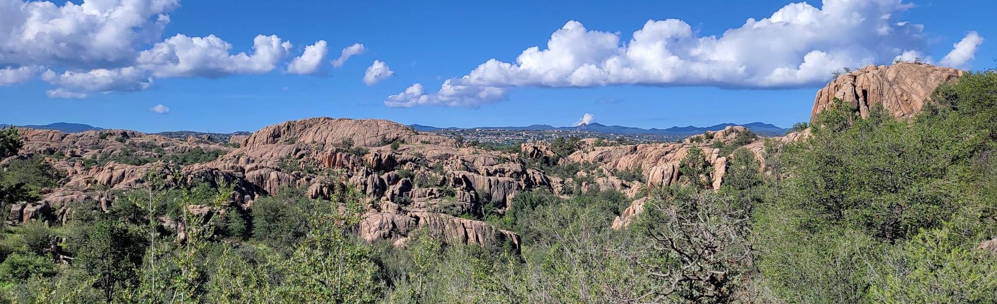 Willow Lake North, Arizona 210 Reviews, Map AllTrails