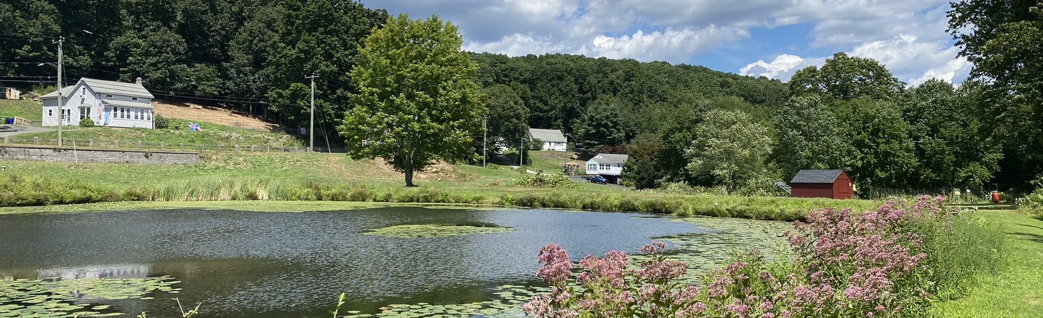 smith-st-to-ct-66-via-airline-trail-connecticut-52-reviews-map