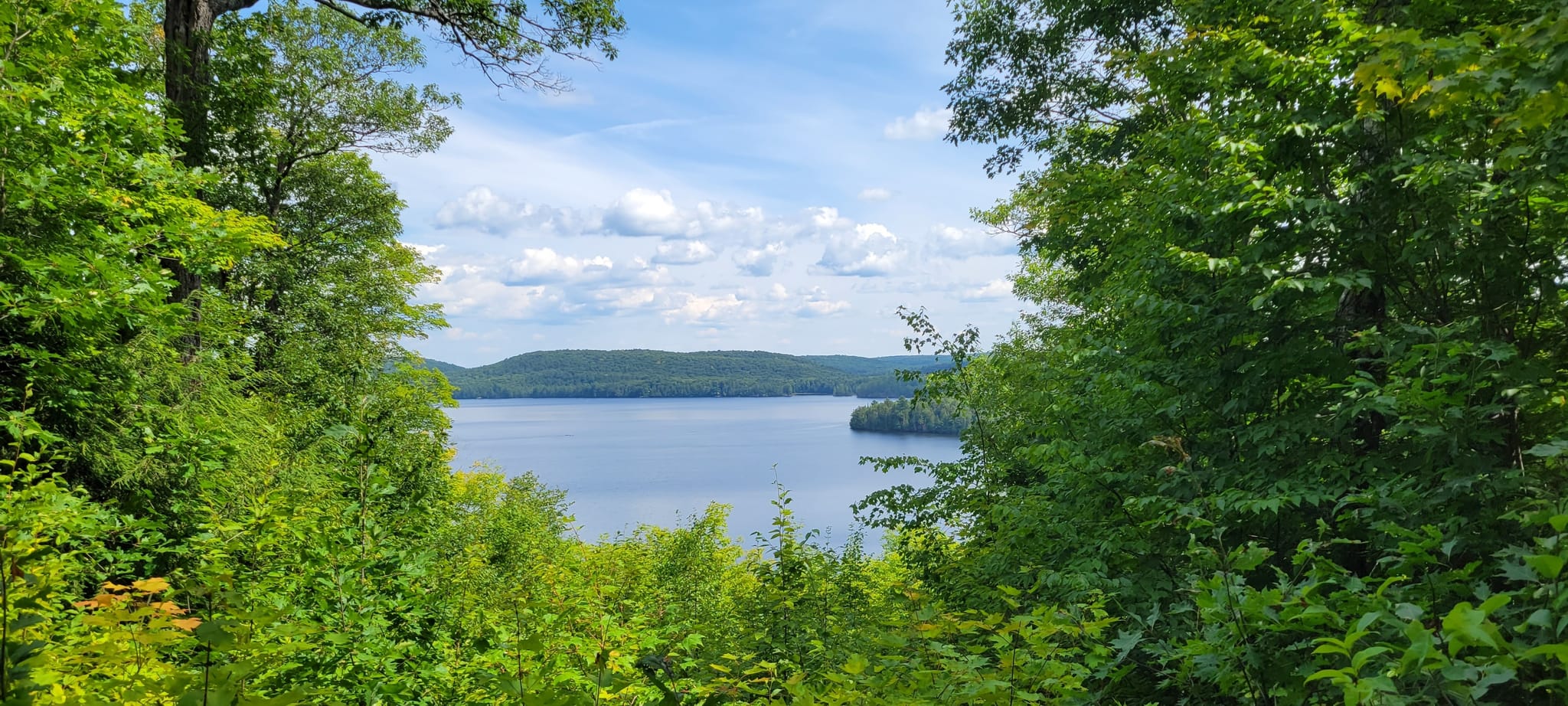 Hardwood lookout trail top algonquin park