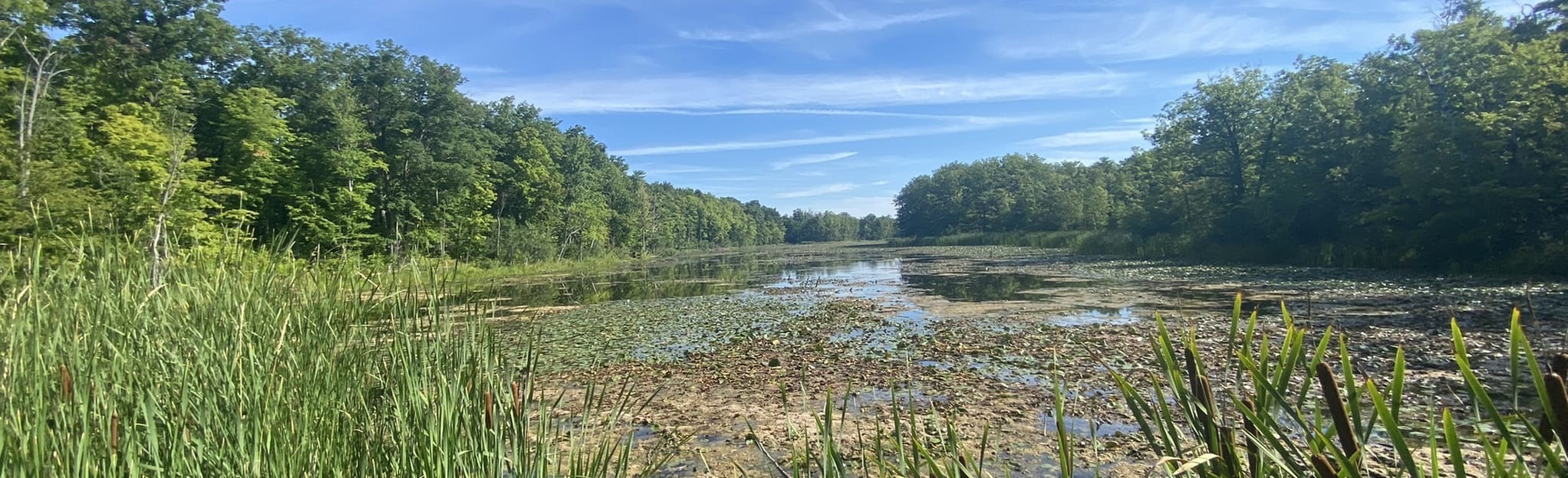 Terra Cotta Lane and McGregor Spring Pond 371 fotos Ontário, Canadá