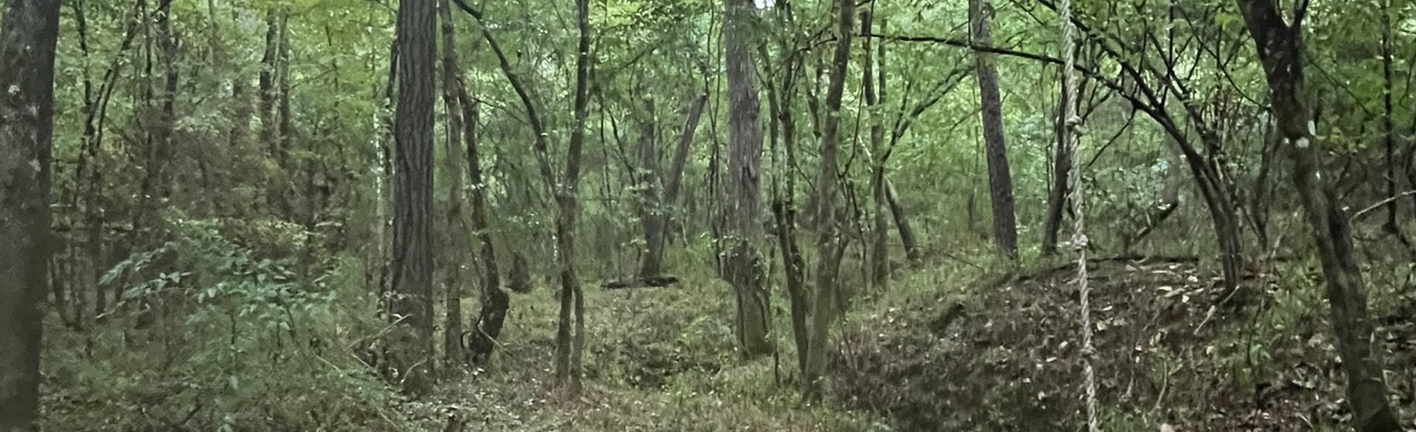 Carl Barton Jr Park Loop, Texas 220 Reviews, Map AllTrails