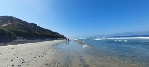 Leucadia State Beach: Where Coastal Dreams Come True