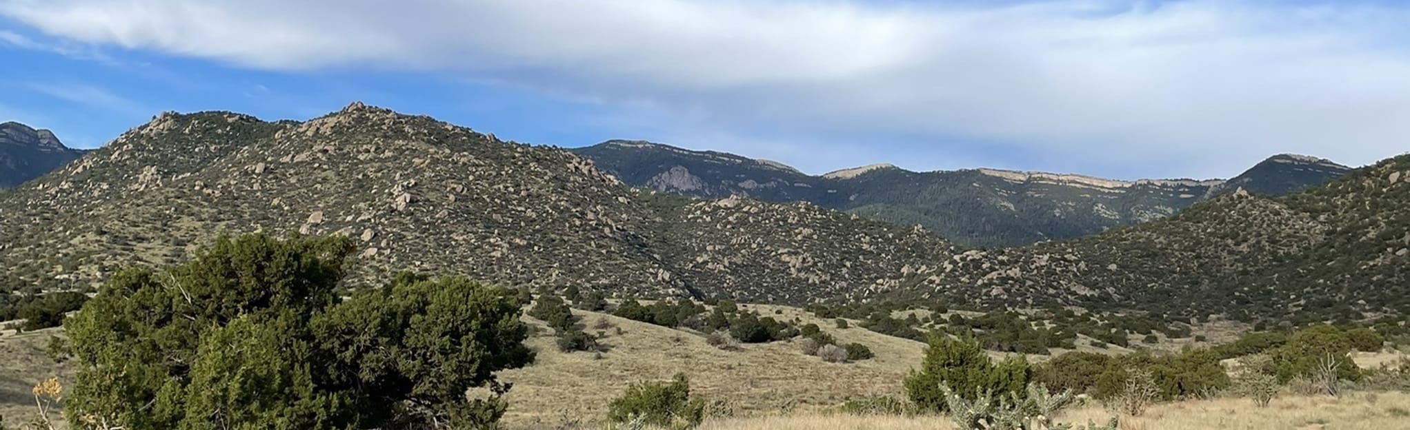 Bear Canyon Loop New Mexico AllTrails