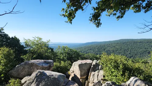 10 Best Hikes and Trails in Catoctin Mountain Park | AllTrails