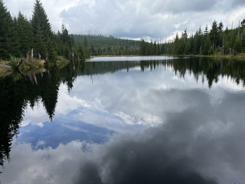 Okruh Bučina - Pramen Vltavy