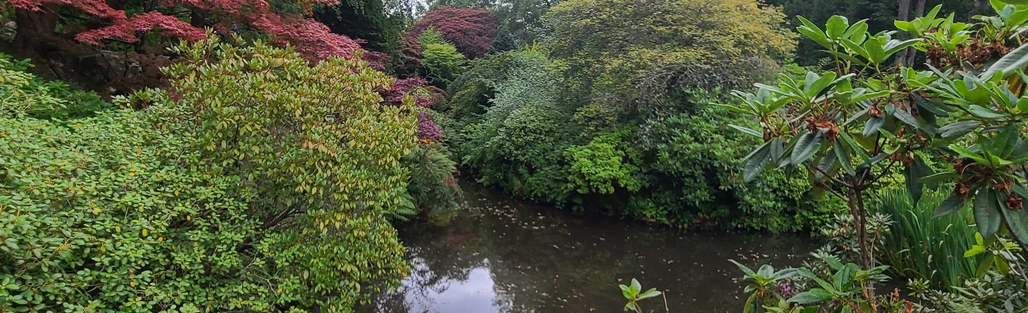 Johnston Gardens Walk, Aberdeen, Scotland 8 Reviews, Map AllTrails