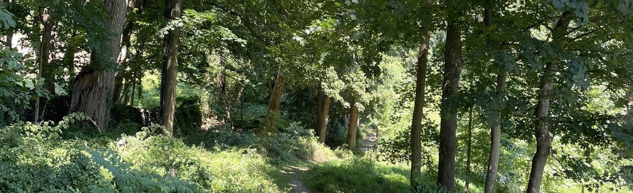 Sid Thayer Trail, Pennsylvania 69 Reviews, Map AllTrails