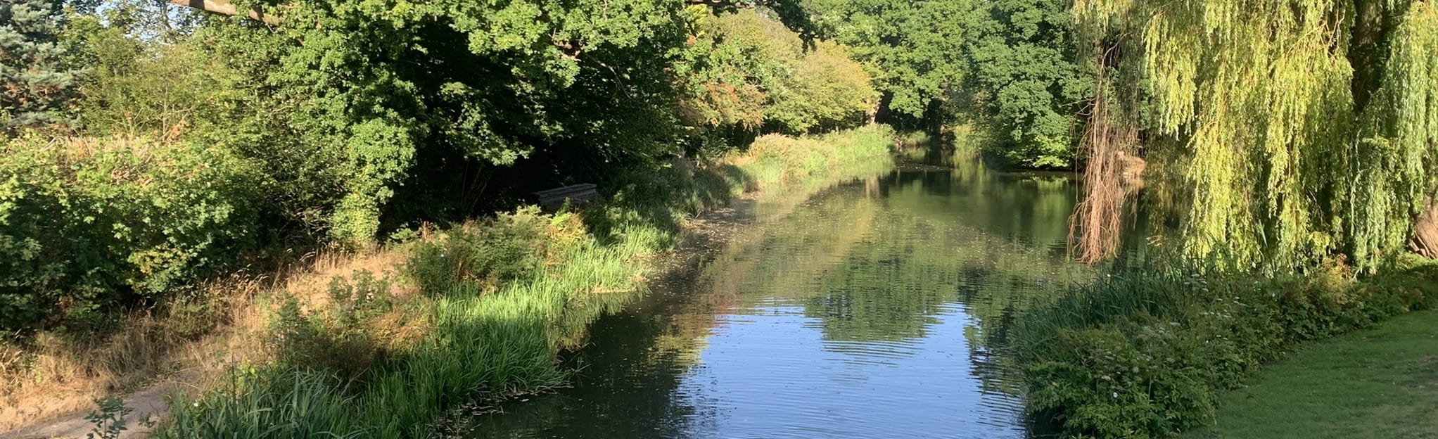 Basingstoke Canal and Zebon Copse, Hampshire, England 23 Reviews, Map AllTrails