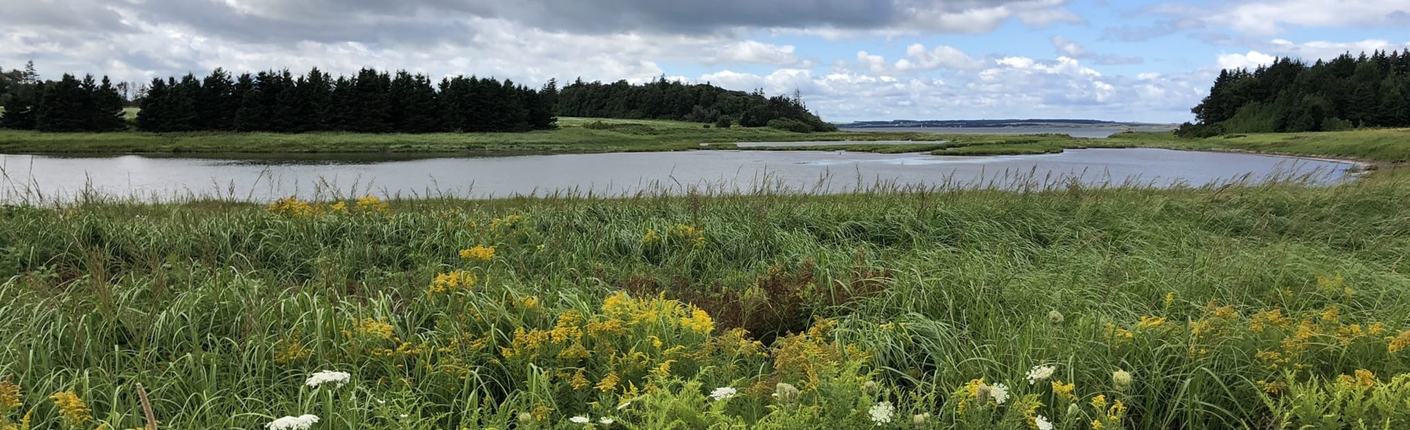 Homestead Trail (Short Loop), Prince Edward Island, Canada - 169 ...