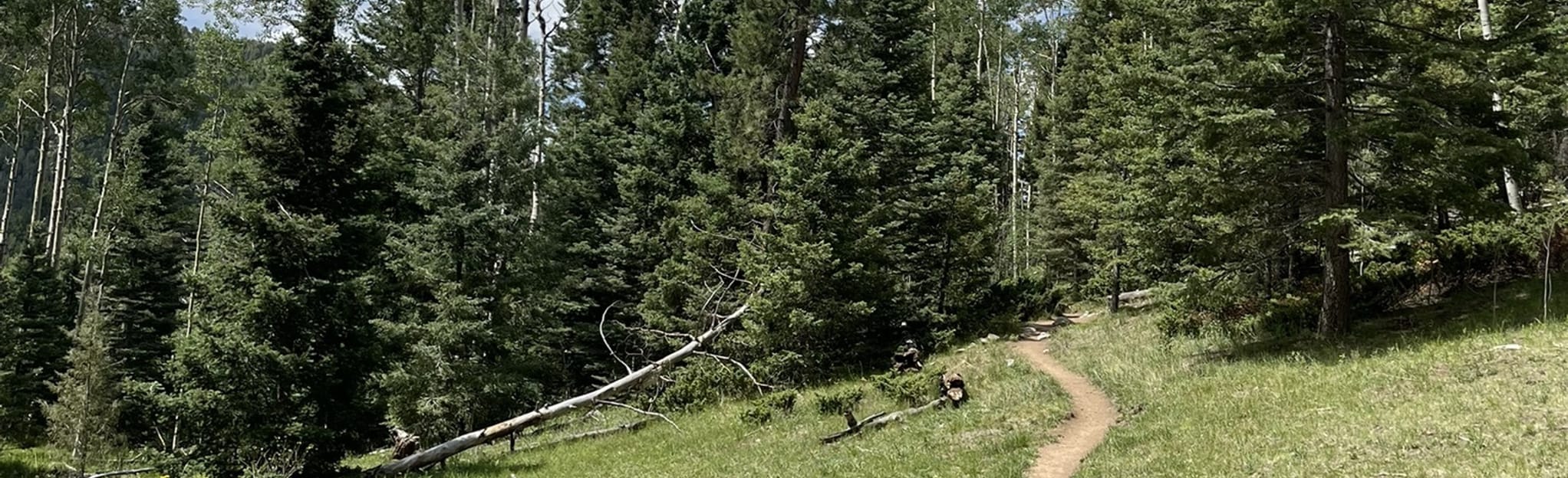 Big Tesuque to Aspen Basin via Winsor Trail 60 Reviews, Map New